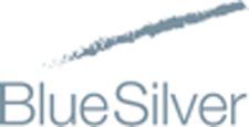 Blue Silver Marketing Consultancy