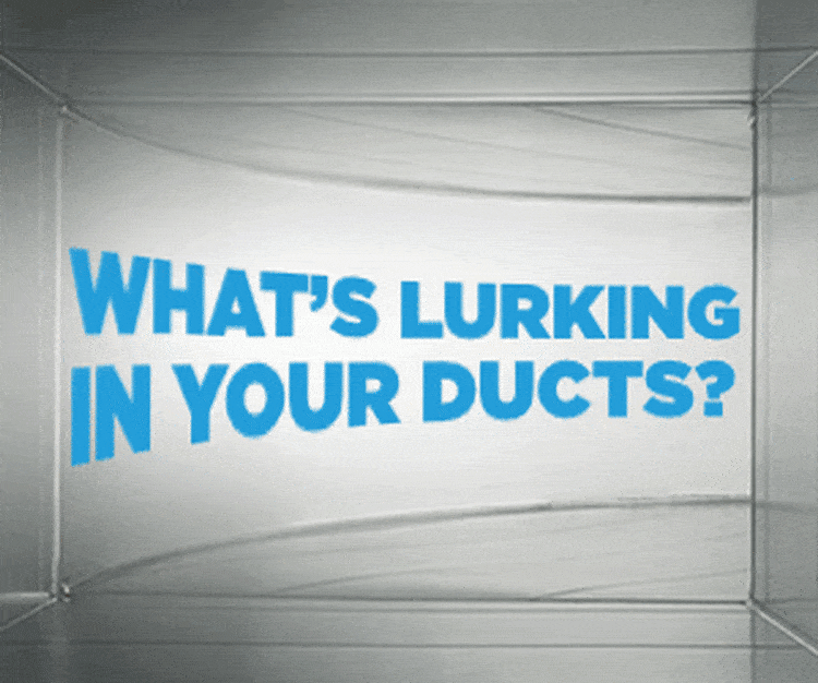 Knauf_Perfomrance+_300x250_upscaled_2.5x